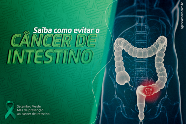 Saiba como evitar o câncer de intestino.