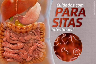 Cuidados com parasitas intestinais!