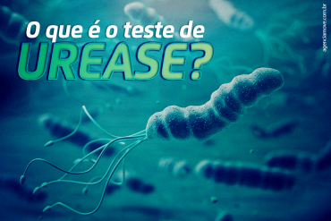 O que é o teste de urease?